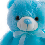 LED Glowing Soft Teddy Bear - FREE SHIPPING