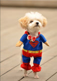 Let Your Dog/Cat Be A Superhero! - Cute Costume
