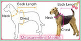 Cool Hoodie For Big Dogs - Great for the holidays!